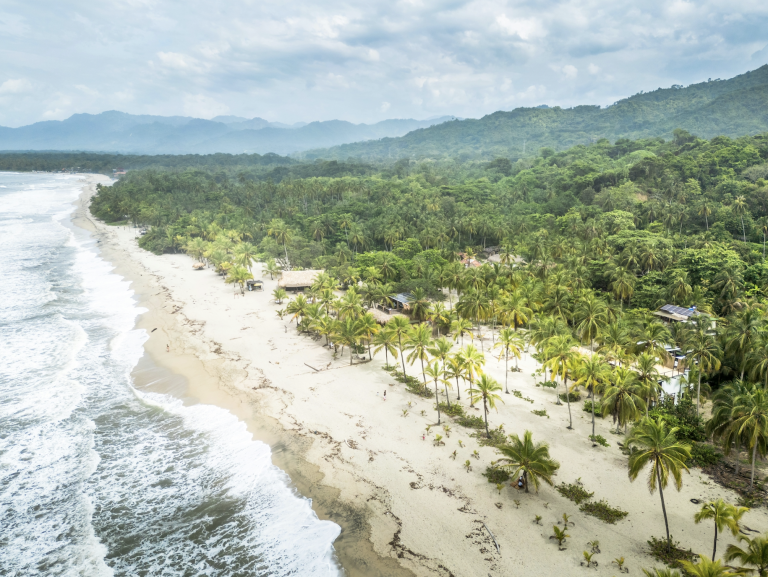 tayrona tomado por la novia durante bachelorette colombia segua 100