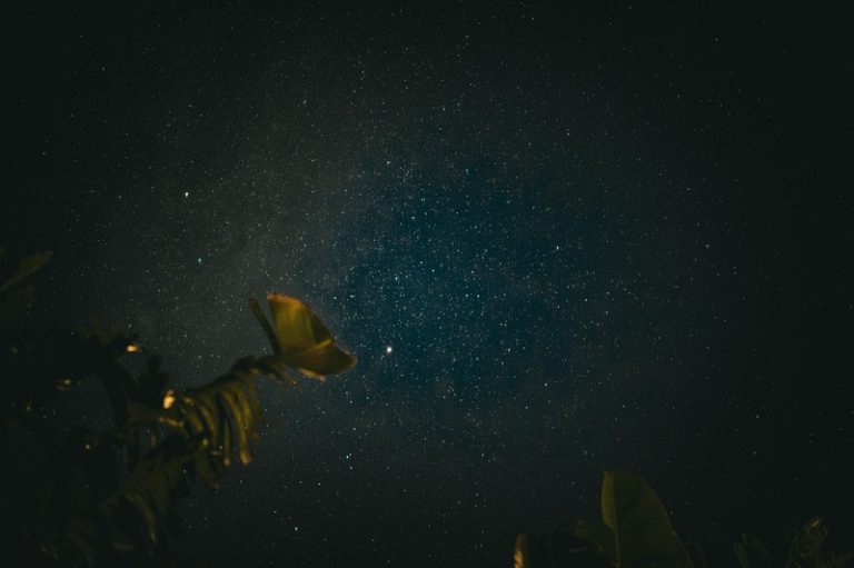 Cielo estrellado místico en Santa Marta para un Bachelorette Retreat Colombia de lujo diseñado por SÉGUA 32