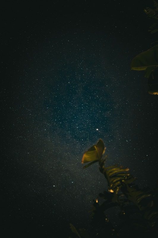 Cielo estrellado místico en Santa Marta para un Bachelorette Retreat Colombia de lujo diseñado por SÉGUA 32