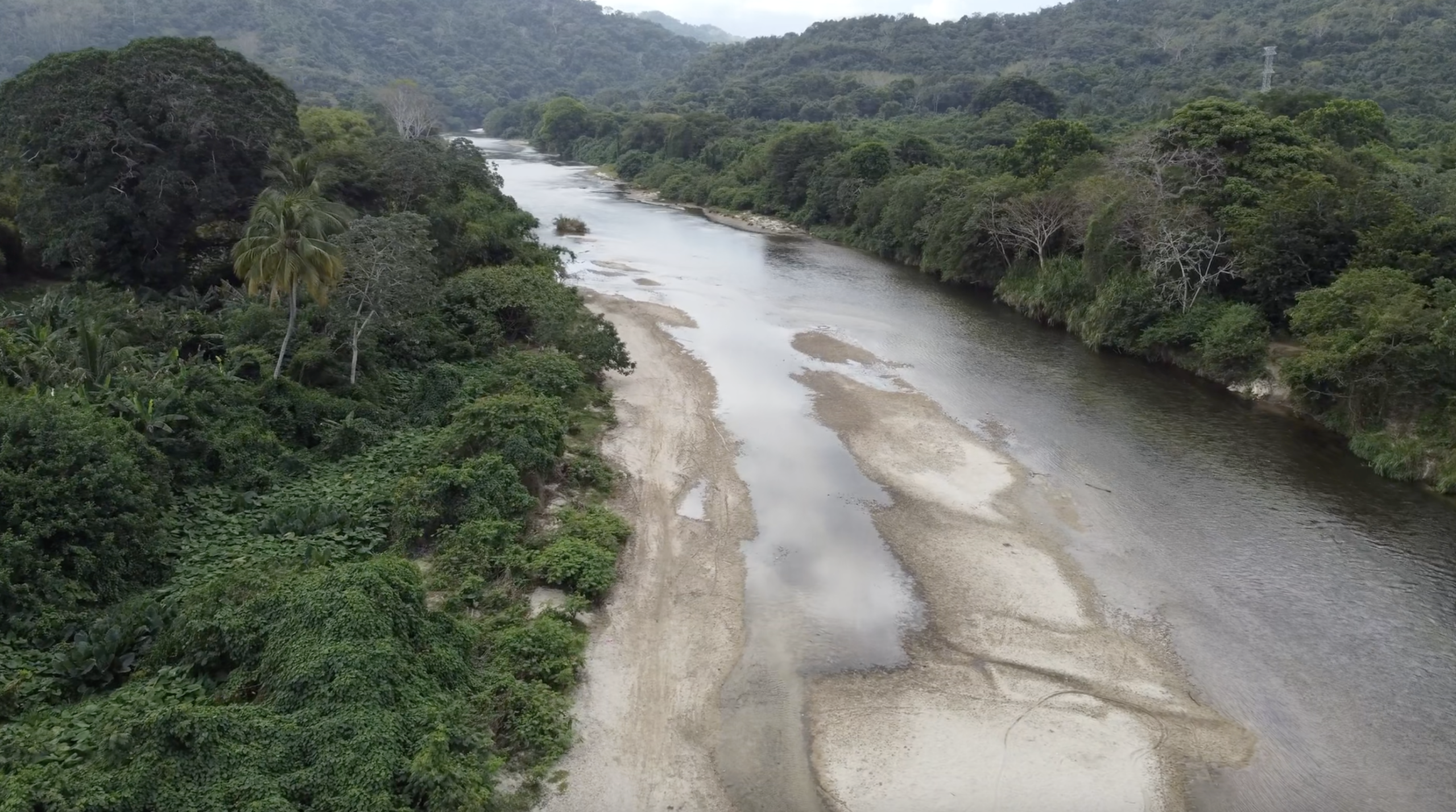 Río del Tayrona y su fauna durante una Bachelorette en Colombia