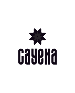 2 logo